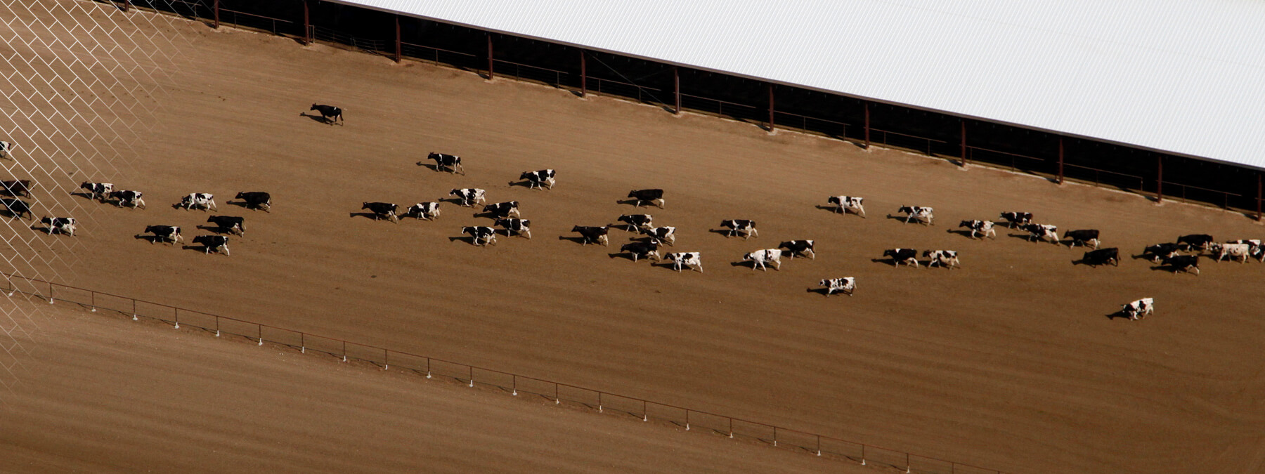 MJE Dairies Case Studies Header Desktop